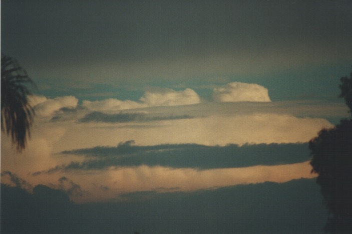thunderstorm cumulonimbus_incus : Riverstone, NSW   1 August 2000
