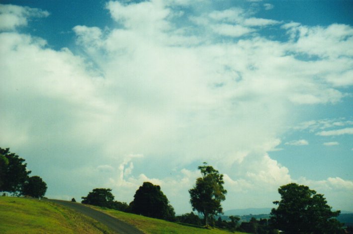 cumulus congestus : McLeans Ridges, NSW   23 August 2000