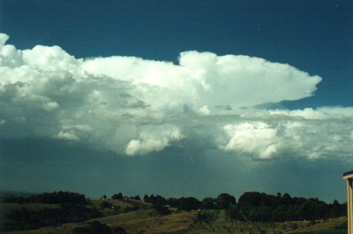 anvil thunderstorm_anvils : McLeans Ridges, NSW   26 October 2000