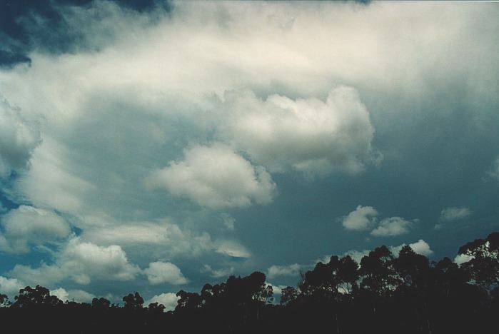 thunderstorm cumulonimbus_incus : N of Colo Heights, NSW   3 November 2000