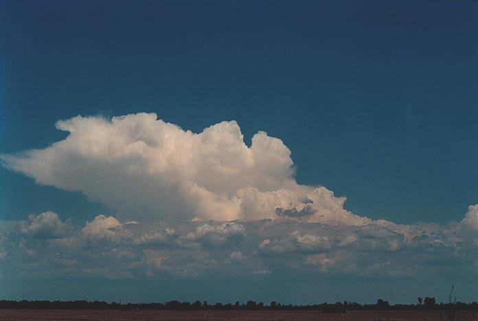 thunderstorm cumulonimbus_incus : E of Goondiwindi, Qld   27 November 2000