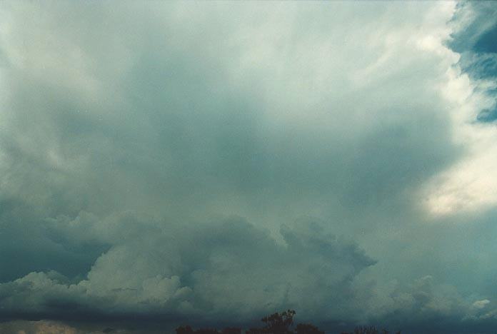 anvil thunderstorm_anvils : W of Quirindi, NSW   29 November 2000