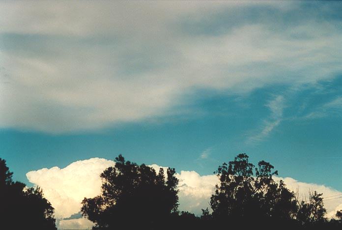 cirrus cirrus_cloud : NW of Singleton, NSW   30 November 2000