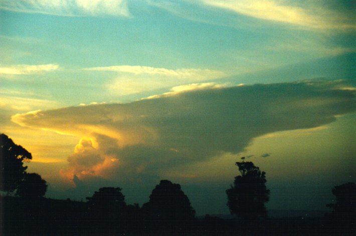 anvil thunderstorm_anvils : McLeans Ridges, NSW   11 December 2000
