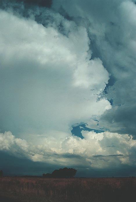 anvil thunderstorm_anvils : near Purlewaugh, NSW   8 January 2001