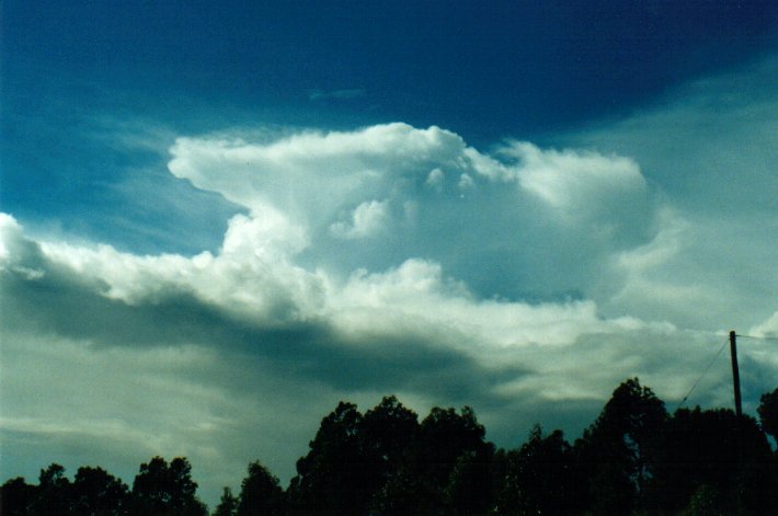 thunderstorm cumulonimbus_incus : McLeans Ridges, NSW   8 May 2001