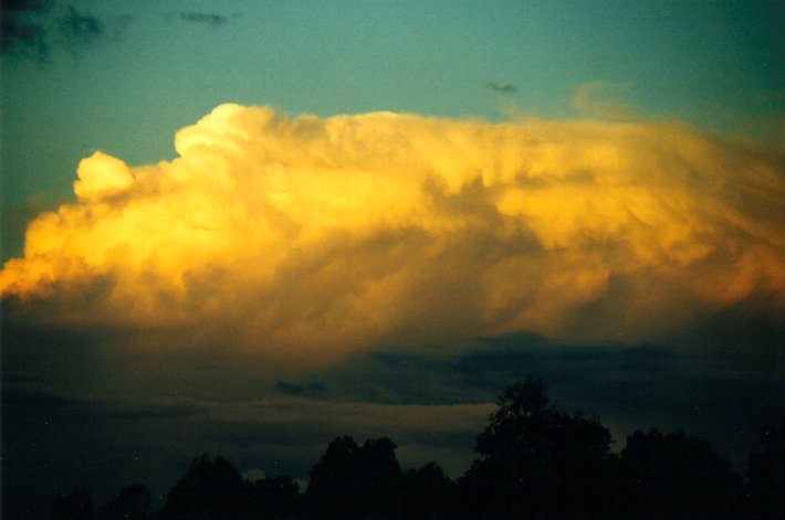 thunderstorm cumulonimbus_incus : McLeans Ridges, NSW   8 May 2001