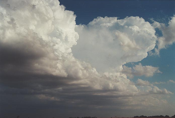 anvil thunderstorm_anvils : Harper, Kansas, USA   4 June 2001