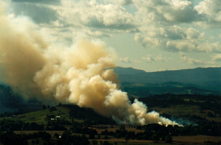 cumulus mediocris : McLeans Ridges, NSW   18 September 2001