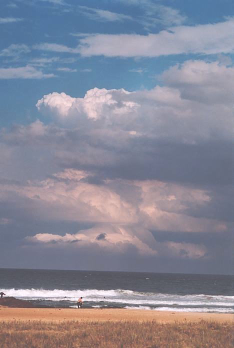 thunderstorm cumulonimbus_calvus : Hallidays Point, NSW   3 October 2001