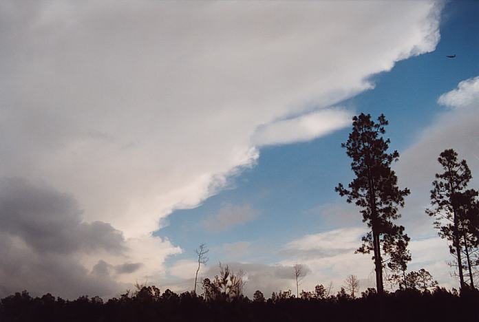 anvil thunderstorm_anvils : Raymond Terrace, NSW   11 November 2001