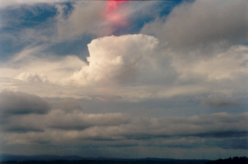 thunderstorm cumulonimbus_calvus : McLeans Ridges, NSW   22 February 2002