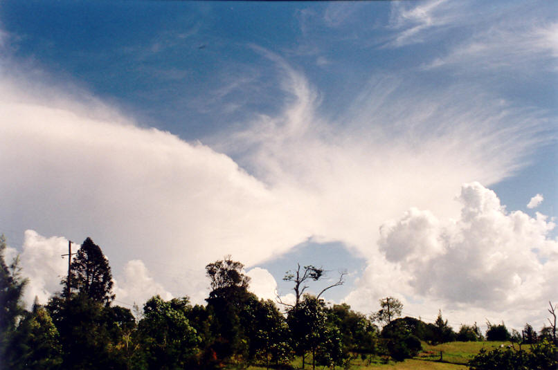 anvil thunderstorm_anvils : McLeans Ridges, NSW   26 March 2002