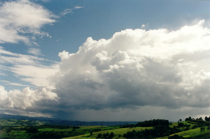 thunderstorm cumulonimbus_calvus : McLeans Ridges, NSW   28 March 2002