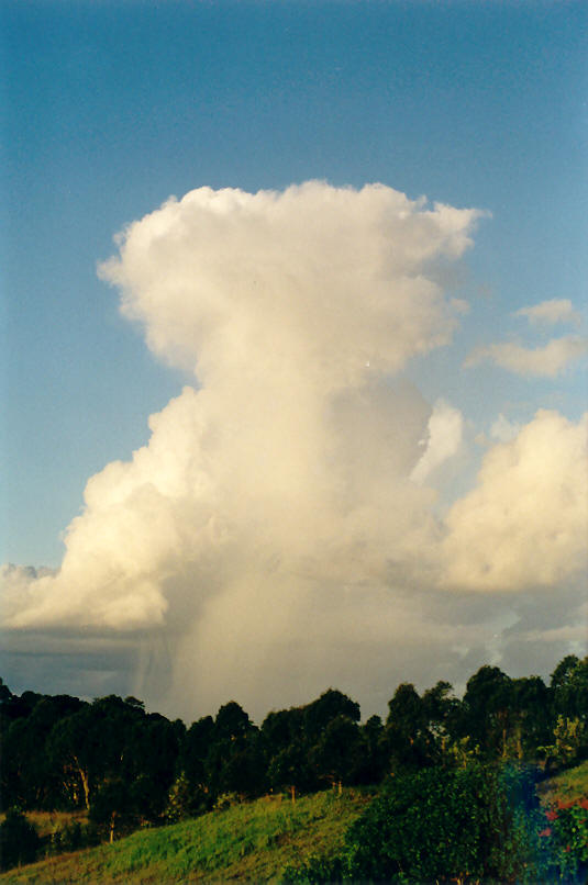 cumulus congestus : McLeans Ridges, NSW   14 April 2002