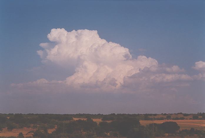 thunderstorm cumulonimbus_calvus : near Richland Springs, Texas, USA   25 May 2002