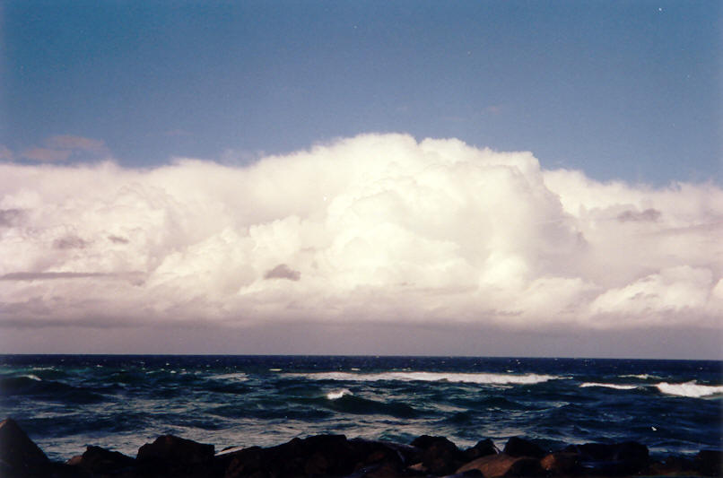 thunderstorm cumulonimbus_calvus : Ballina, NSW   26 May 2002