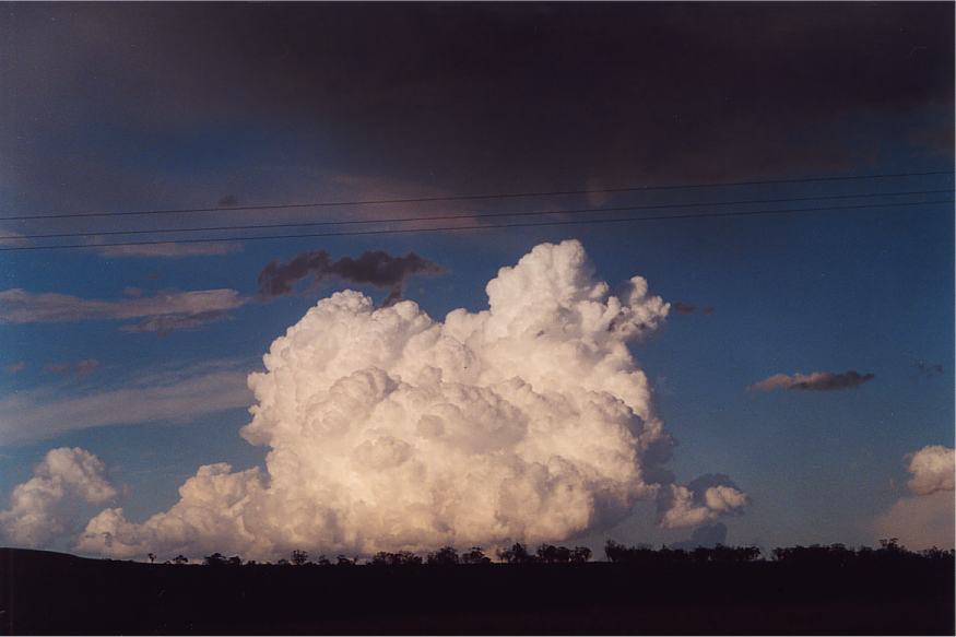 thunderstorm cumulonimbus_calvus : E of Merriwa, NSW   13 October 2002