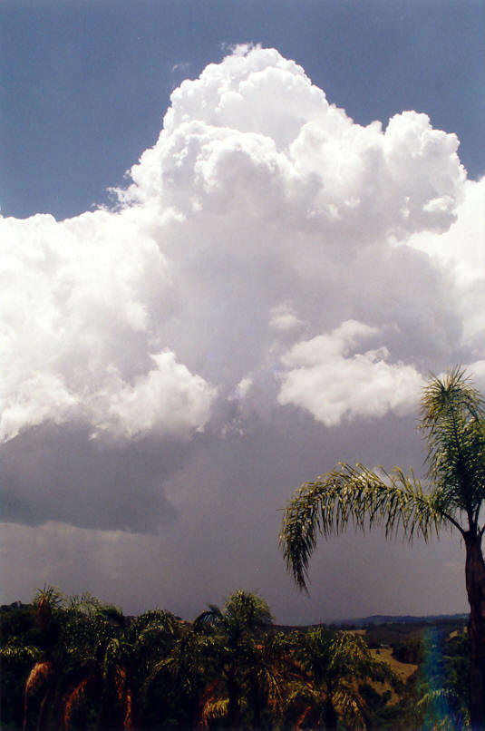thunderstorm cumulonimbus_calvus : Clunes, NSW   30 November 2002