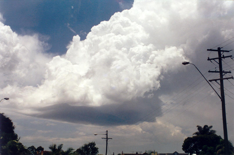 thunderstorm cumulonimbus_calvus : Clunes, NSW   30 November 2002