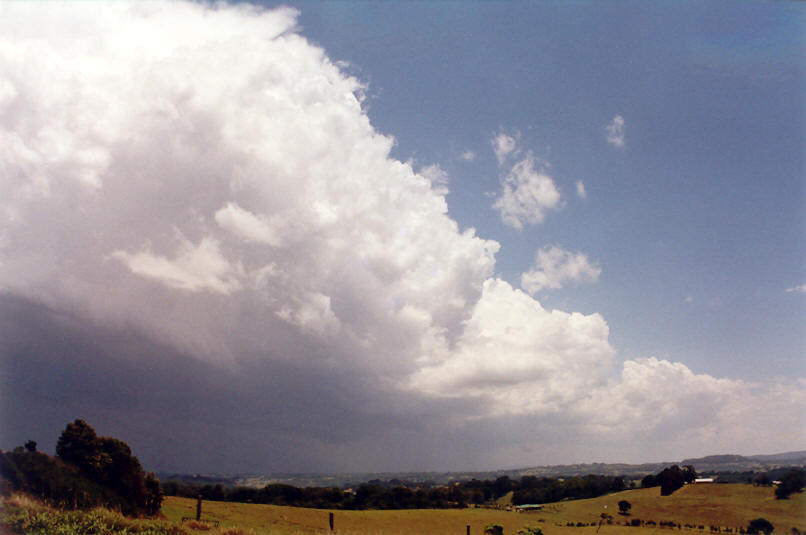 thunderstorm cumulonimbus_incus : Saint Helena, NSW   30 November 2002