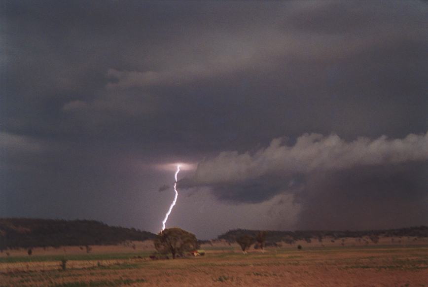 cumulonimbus thunderstorm_base : N of Boggabri, NSW   23 December 2002