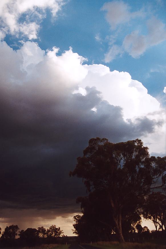 cumulonimbus thunderstorm_base : N of Inverell, NSW   24 December 2002