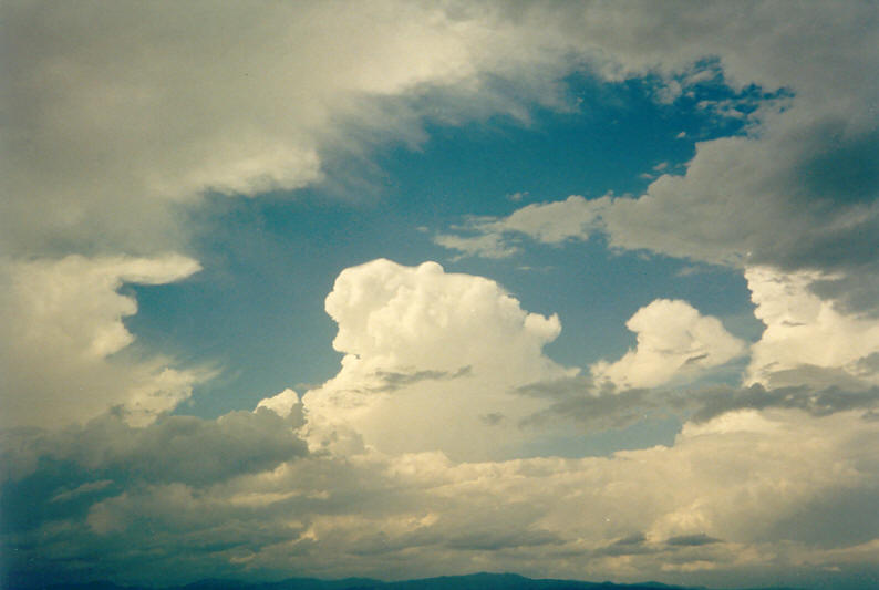 thunderstorm cumulonimbus_calvus : McLeans Ridges, NSW   24 December 2002