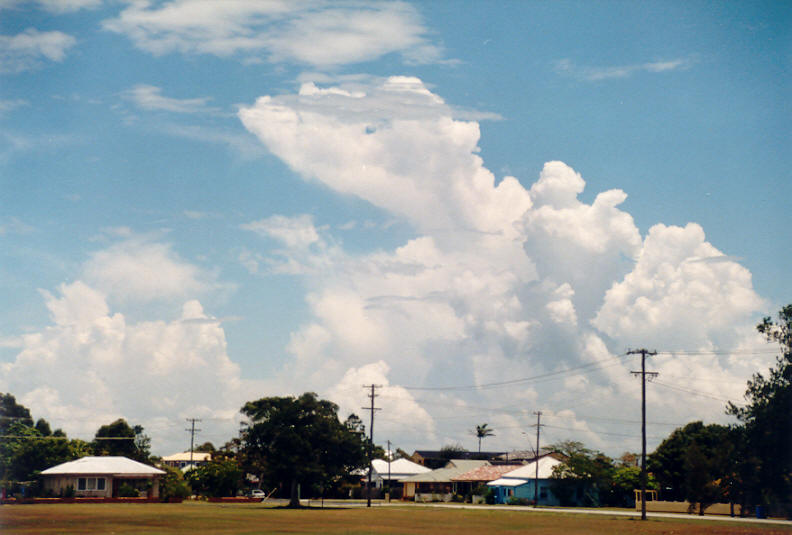 thunderstorm cumulonimbus_calvus : Ballina, NSW   25 December 2002