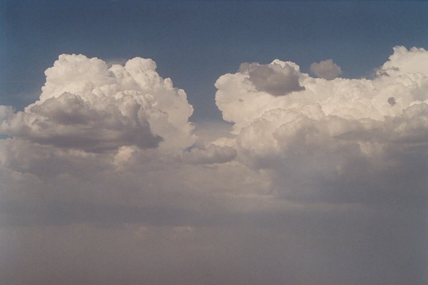 thunderstorm cumulonimbus_calvus : Schofields, NSW   18 January 2003