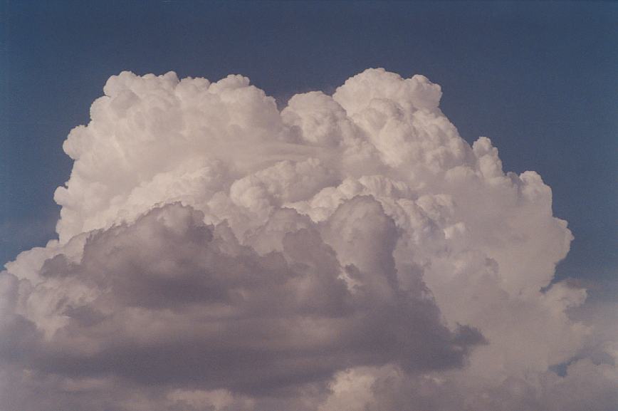 thunderstorm cumulonimbus_calvus : Schofields, NSW   18 January 2003