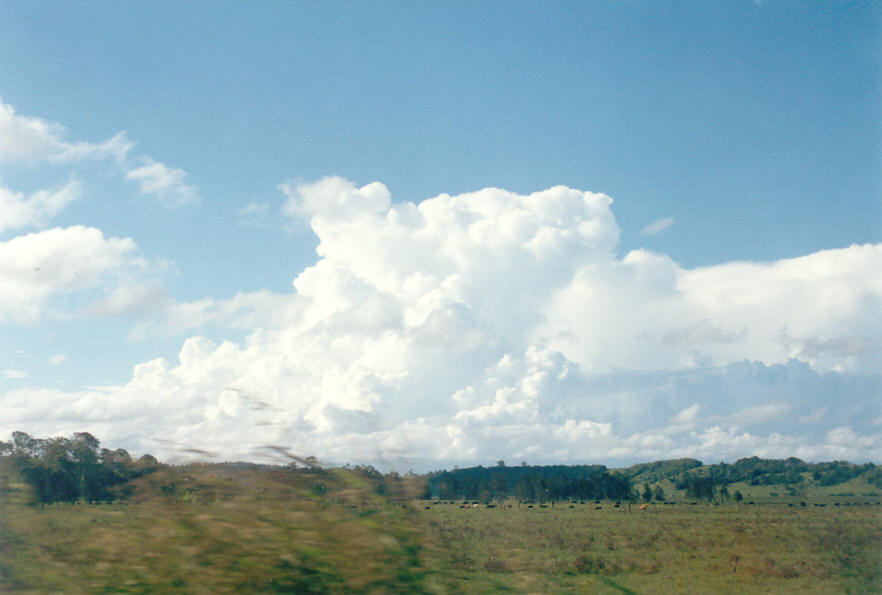 thunderstorm cumulonimbus_calvus : near Lismore, NSW   23 February 2003