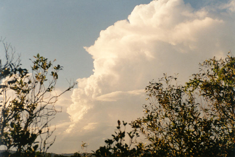 updraft thunderstorm_updrafts : Wardell, NSW   22 March 2003