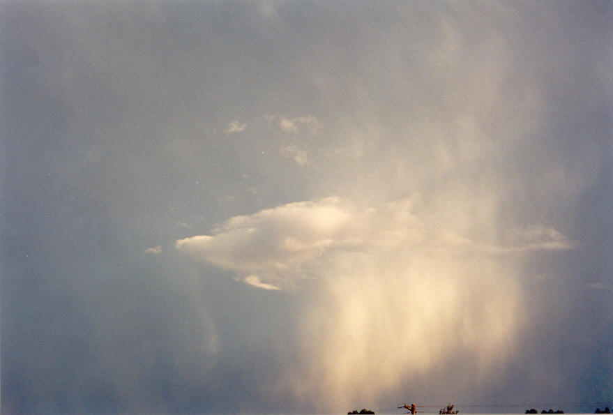 anvil thunderstorm_anvils : McLeans Ridges, NSW   30 March 2003