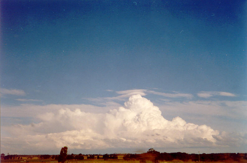 thunderstorm cumulonimbus_calvus : Grafton, NSW   9 May 2003