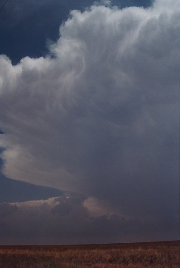 anvil thunderstorm_anvils : Earth, Texas, USA   3 June 2003