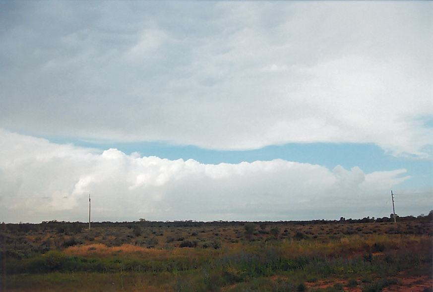thunderstorm cumulonimbus_incus : Wilcannia, NSW   1 October 2003