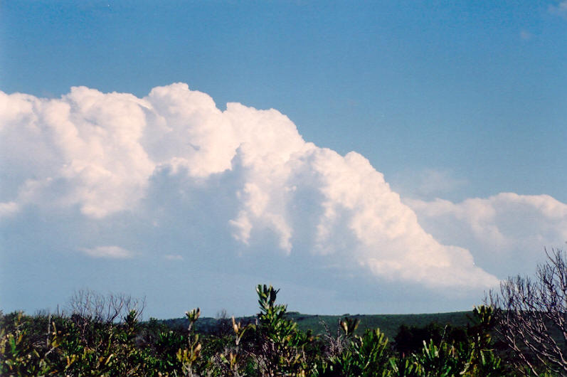 thunderstorm cumulonimbus_calvus : Evans Head, NSW   10 October 2003
