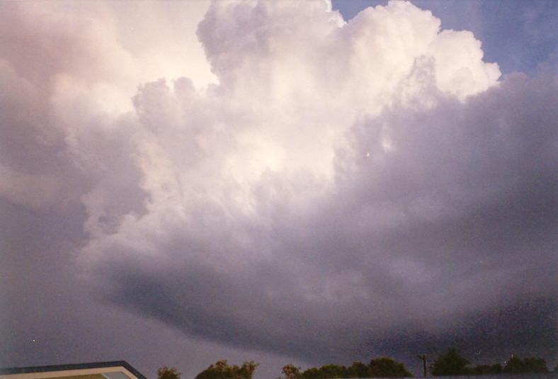 thunderstorm cumulonimbus_calvus : McLeans Ridges, NSW   20 October 2003