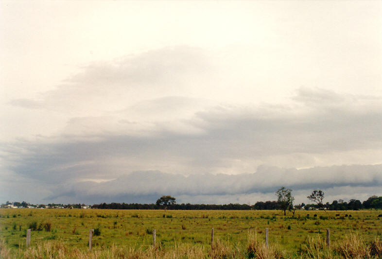 rollcloud roll_cloud : Coraki, NSW   26 October 2003