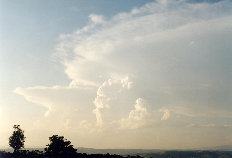 anvil thunderstorm_anvils : McLeans Ridges, NSW   25 December 2003
