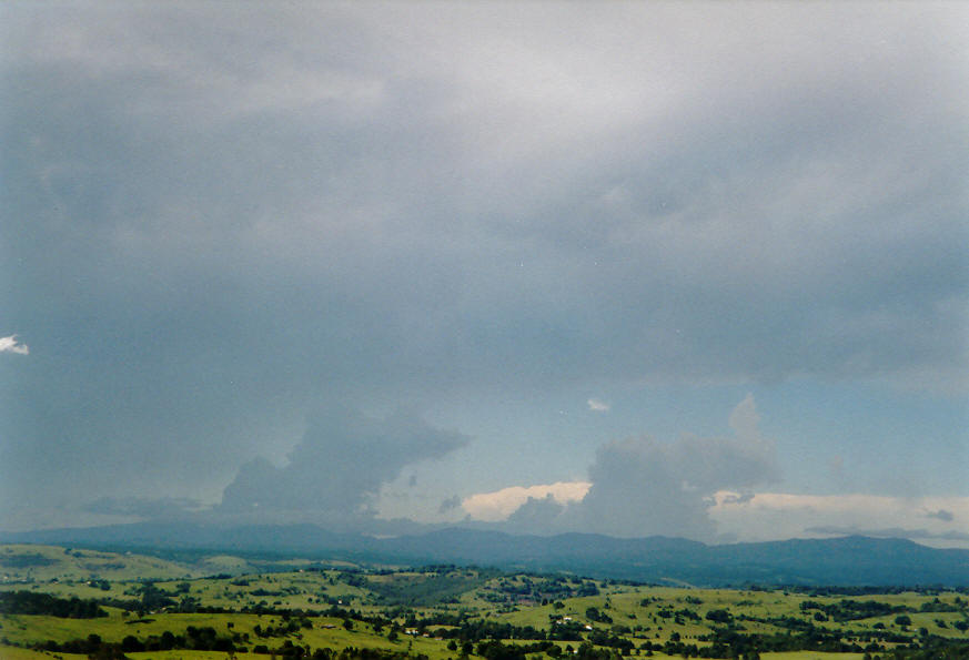 anvil thunderstorm_anvils : McLeans Ridges, NSW   26 January 2004