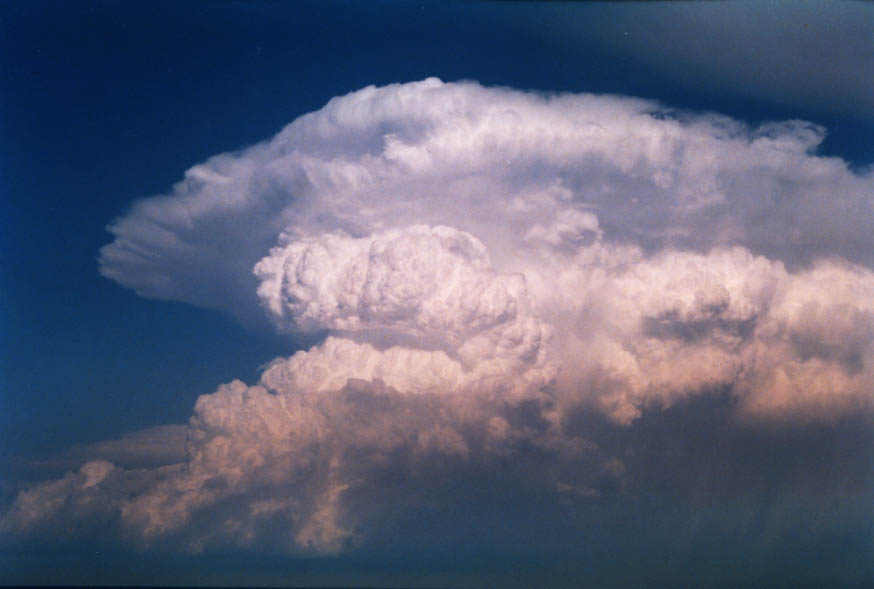thunderstorm cumulonimbus_incus : near Manly, NSW   30 January 2004