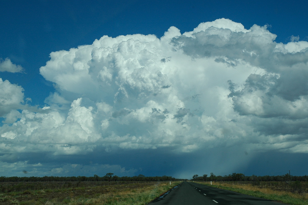 updraft thunderstorm_updrafts : W of Walgett, NSW   8 December 2004
