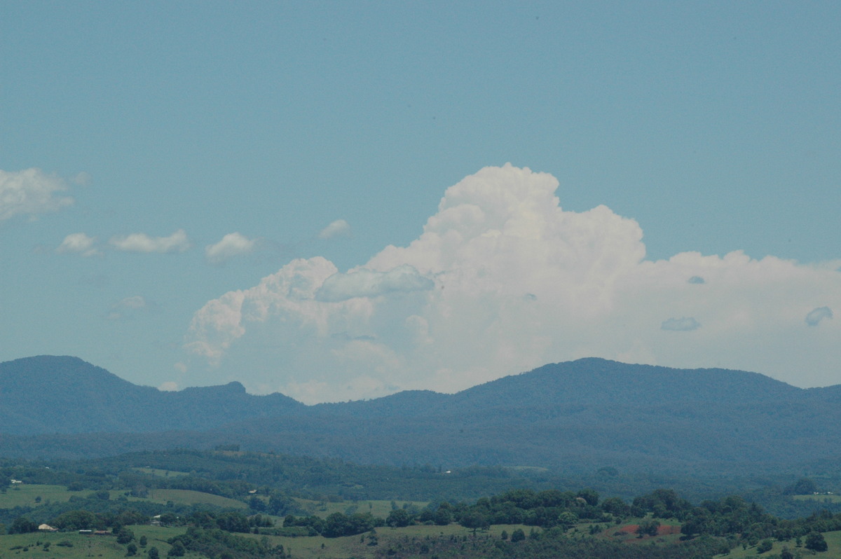 thunderstorm cumulonimbus_calvus : McLeans Ridges, NSW   12 December 2004