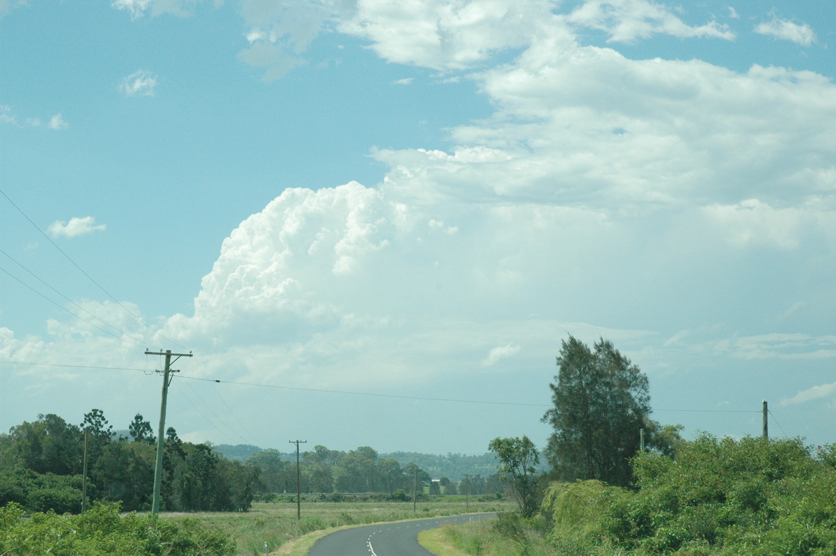 thunderstorm cumulonimbus_calvus : Wyrallah, NSW   13 December 2004