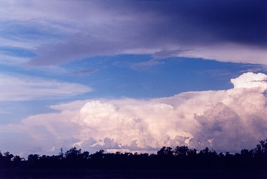 thunderstorm cumulonimbus_calvus : S of Dubbo, NSW   23 December 2004