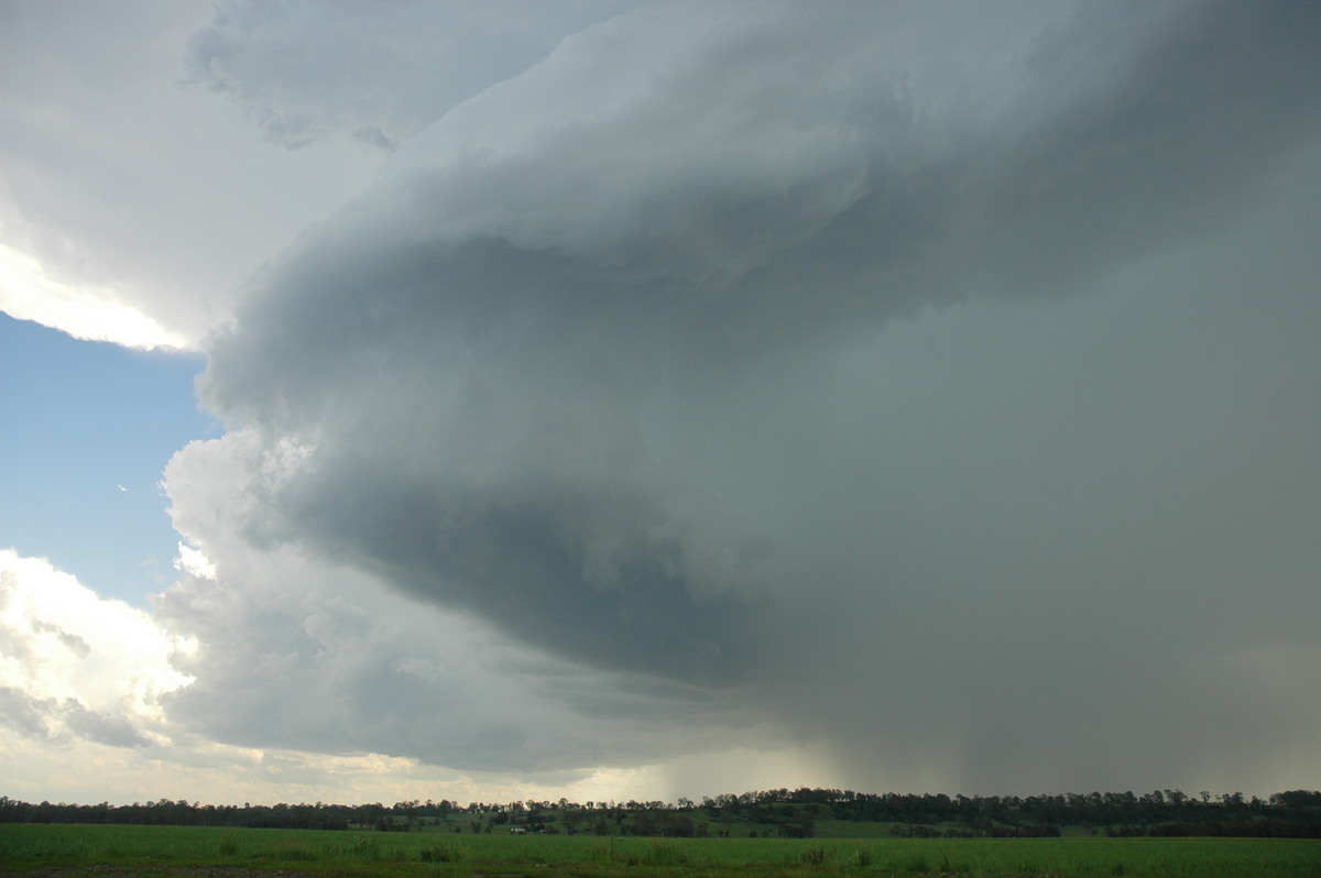 cumulonimbus thunderstorm_base : near Coraki, NSW   23 December 2004