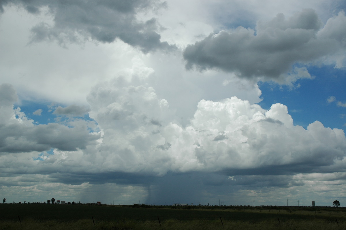 thunderstorm cumulonimbus_calvus : S of Moree, NSW   27 December 2004
