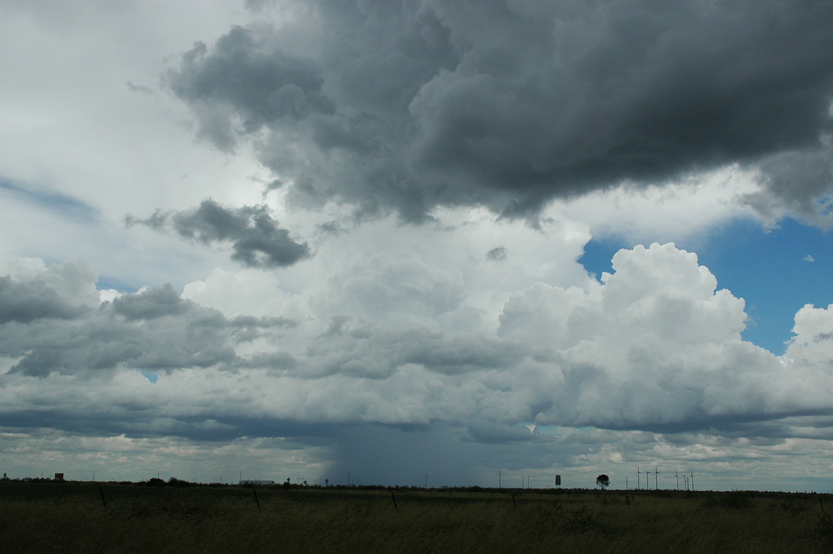 thunderstorm cumulonimbus_calvus : S of Moree, NSW   27 December 2004